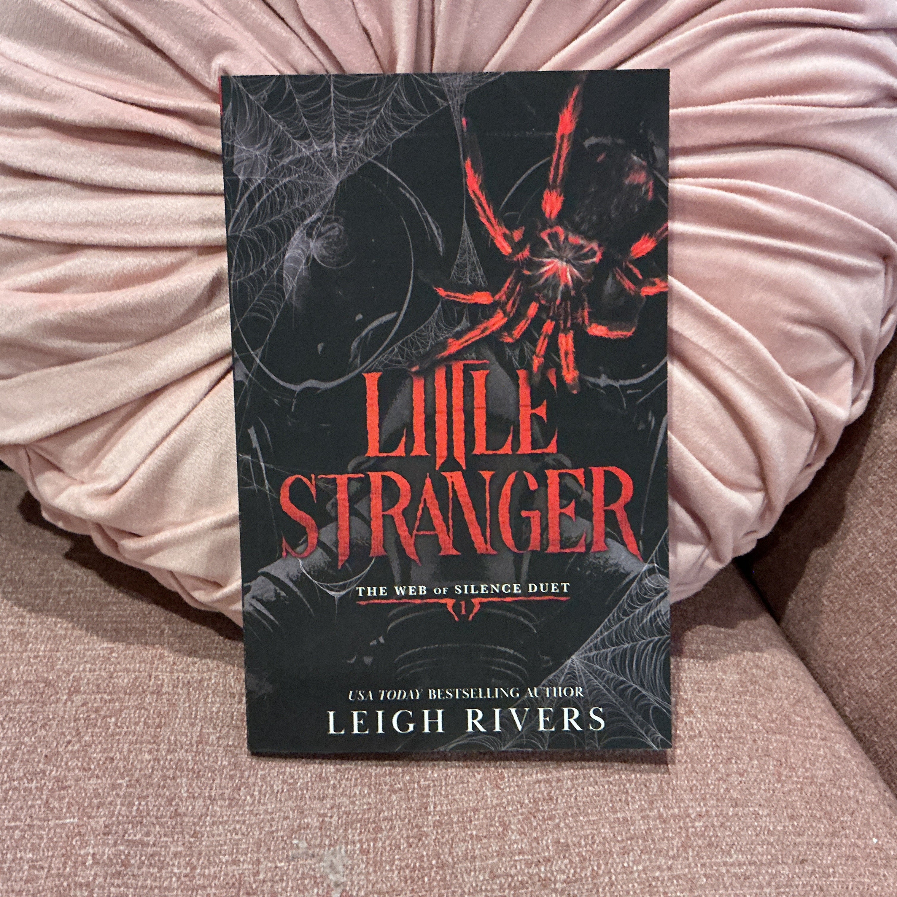 Little Stranger (The Wed of Silence Duet Book 1) - Leigh Rivers