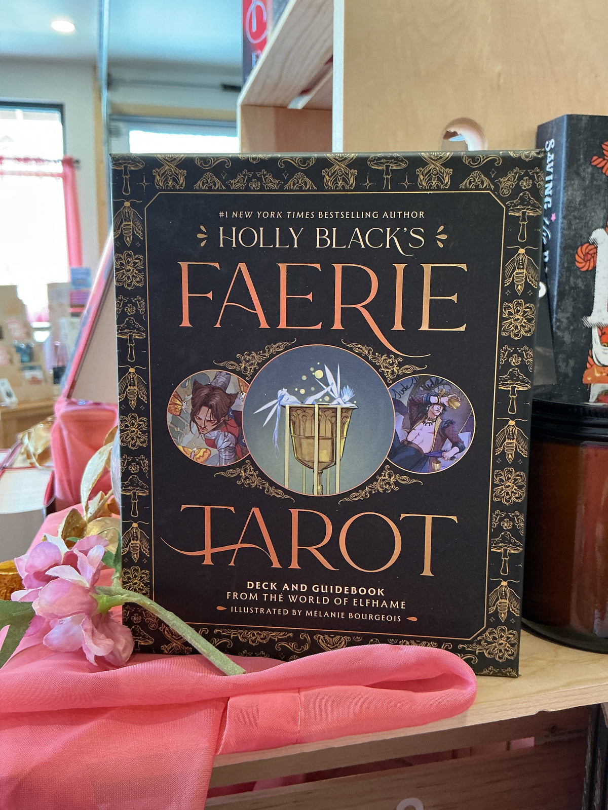 Holly Black’s Faerie Tarot