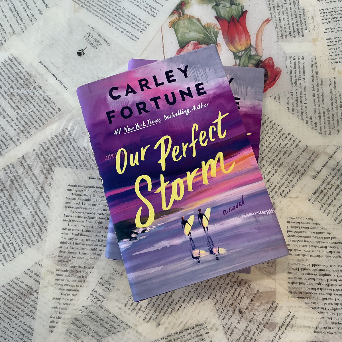 Our Perfect Storm - Carley Fortune