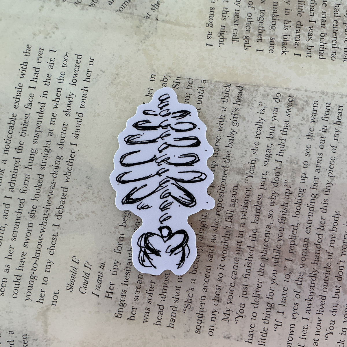 Ribs Large Sticker - Kaitlyn Bell
