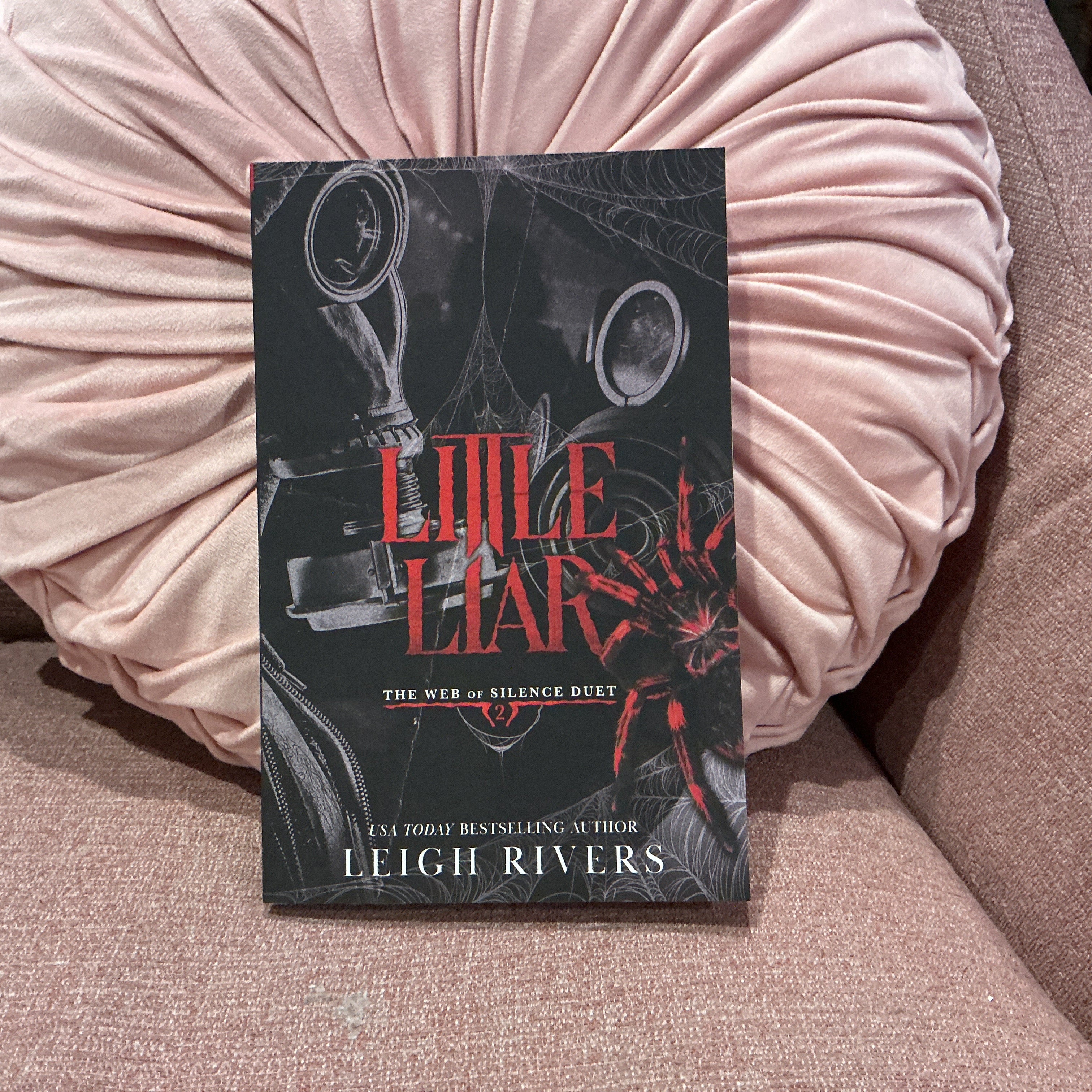 Little Liar (The Web of Silence Duet Book 2) - Leigh Rivers