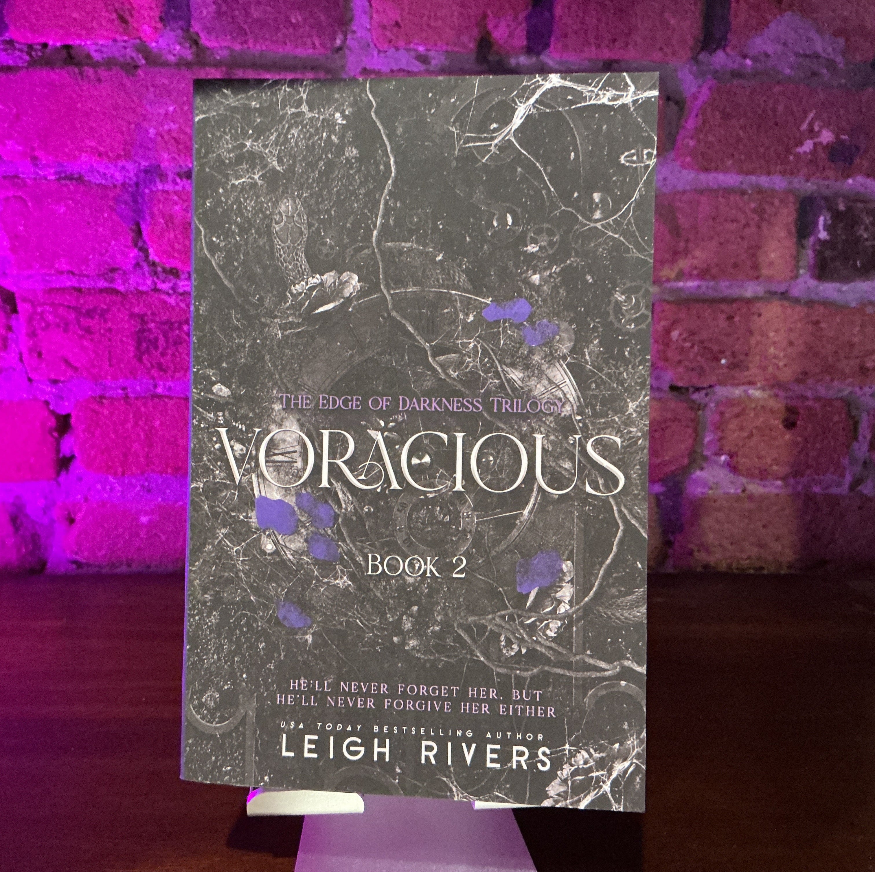 Voracious (The Edge of Darkness: Book 2) - Leigh Rivers