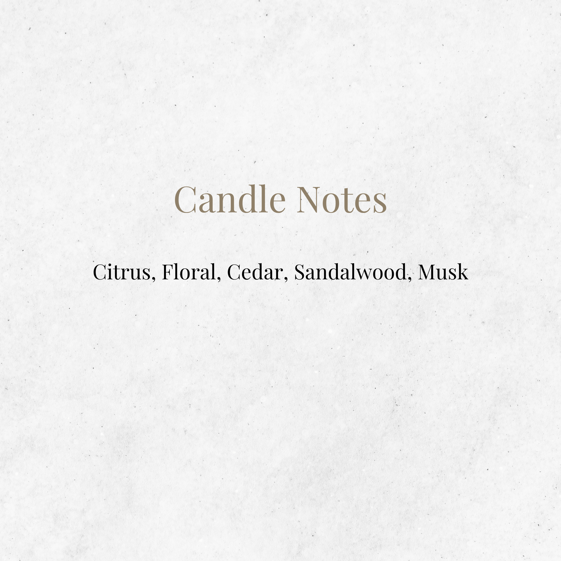 Rhysand Candle Officially Licensed - The Sarah J. Maas Collection