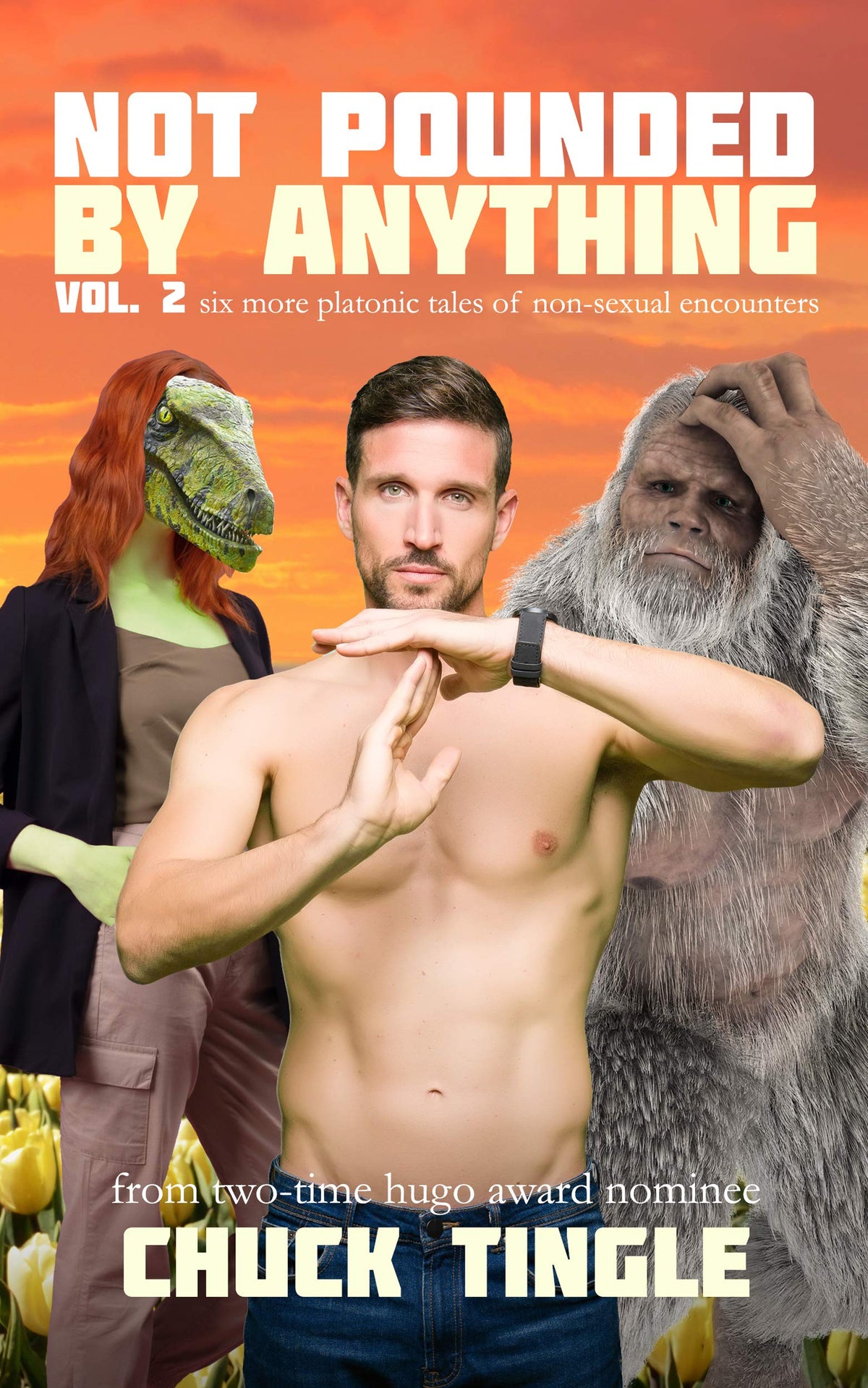 Not Pounded By Anything (Volume 2) - Chuck Tingle