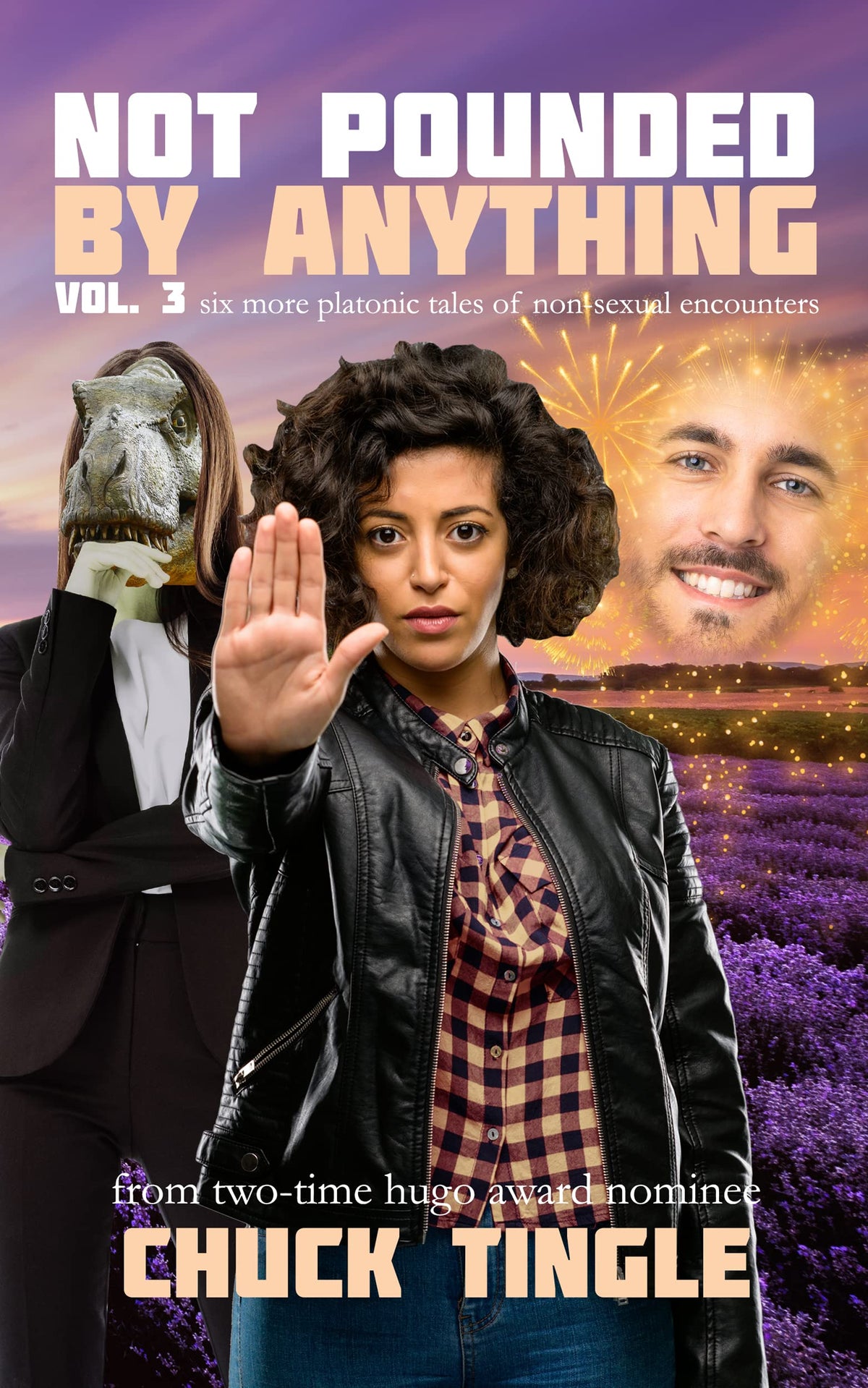 Not Pounded by Anything (Volume 3) - Chuck Tingle
